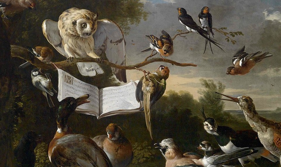 鳥が登場するクラシック〜音楽で楽しむ鳥類図鑑