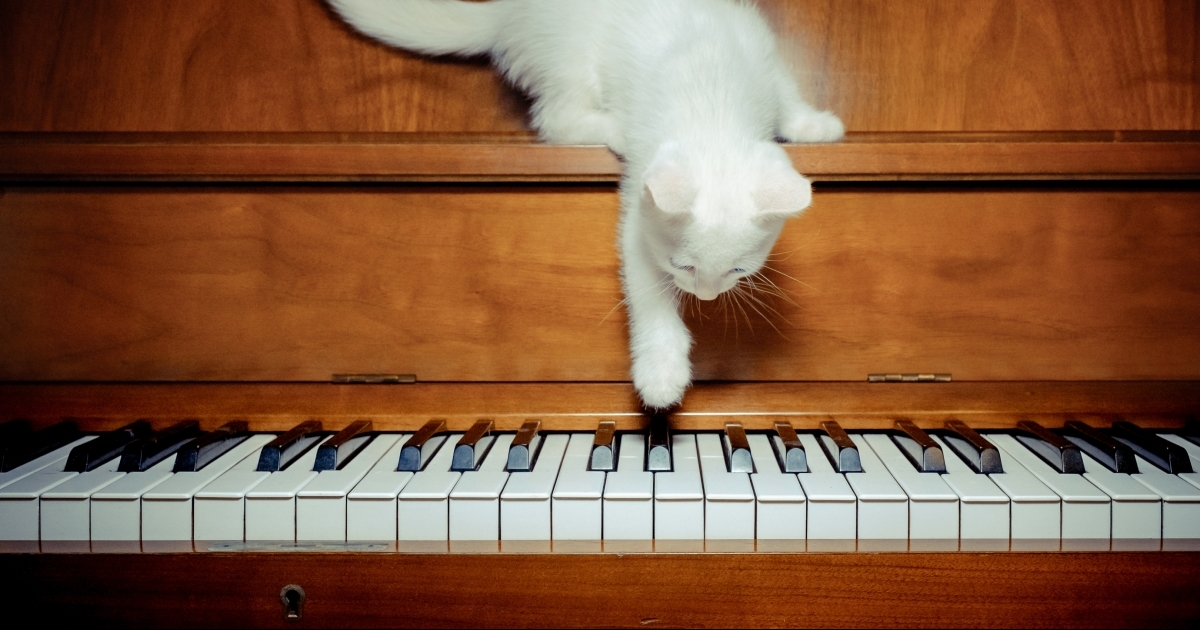 弾いても聴いても癒されるクラシックのピアノ名曲 上級編 音楽っていいなぁ を毎日に Webマガジン Ontomo