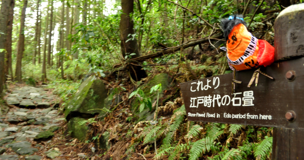 『箱根八里』が描いた道をゆく！ 箱根の山の険しさや武士の逞しさはいかほどか？