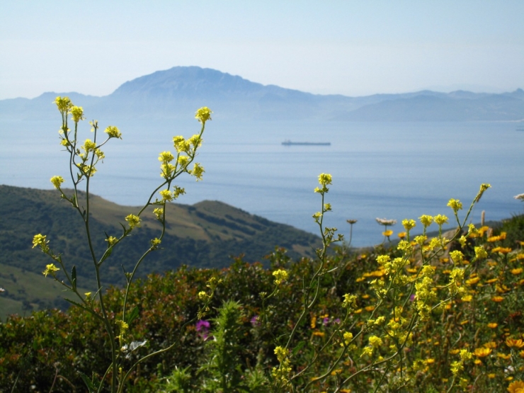 ジブラルタル海峡