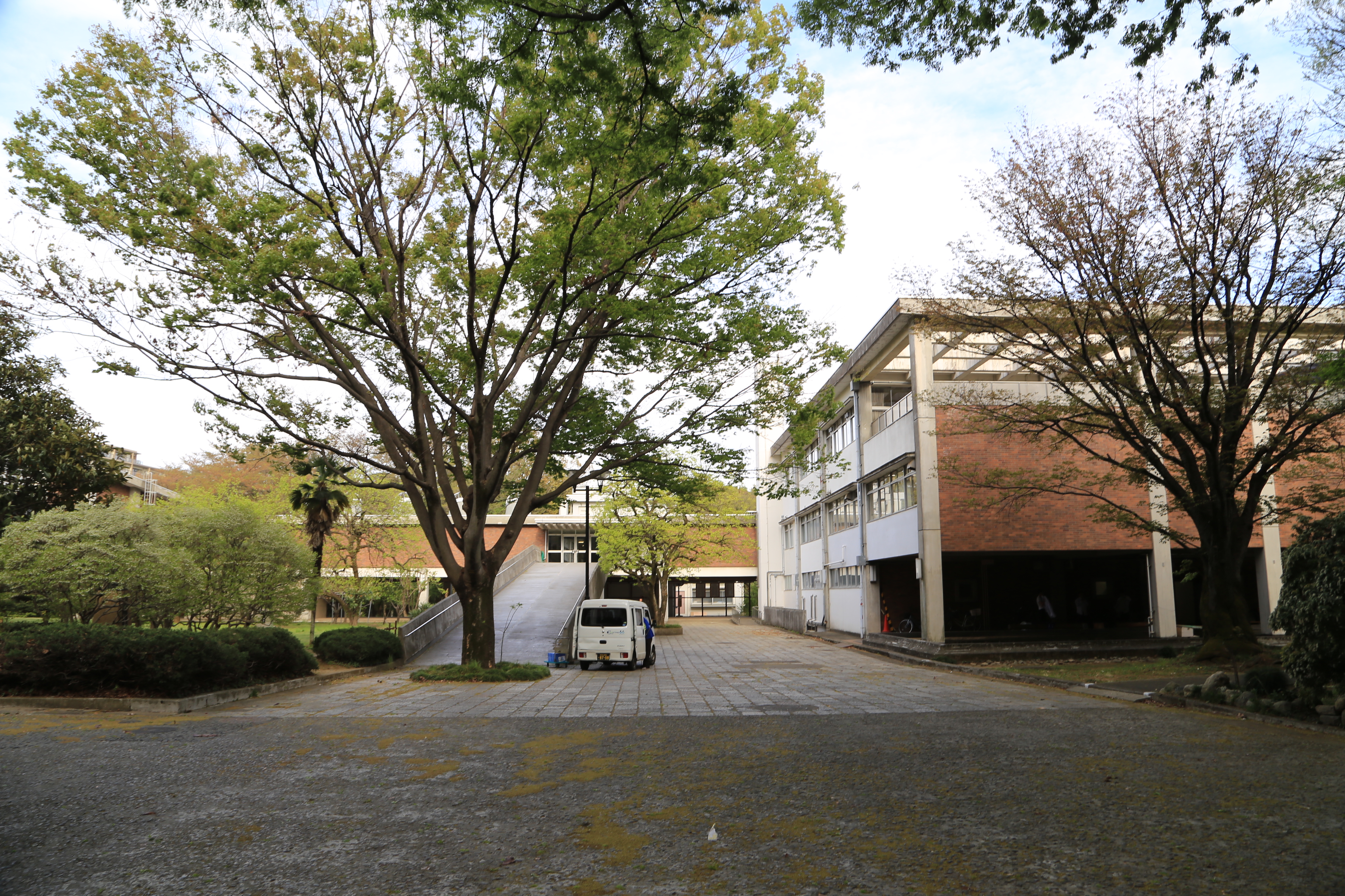 東武東上線の志木駅からすぐの広大な敷地のなかにある慶應義塾志木高等学校