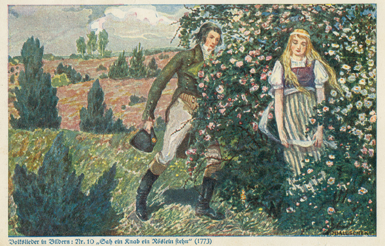 シューベルトの歌曲《野ばら》の歌詞に秘められたゲーテの身勝手な恋